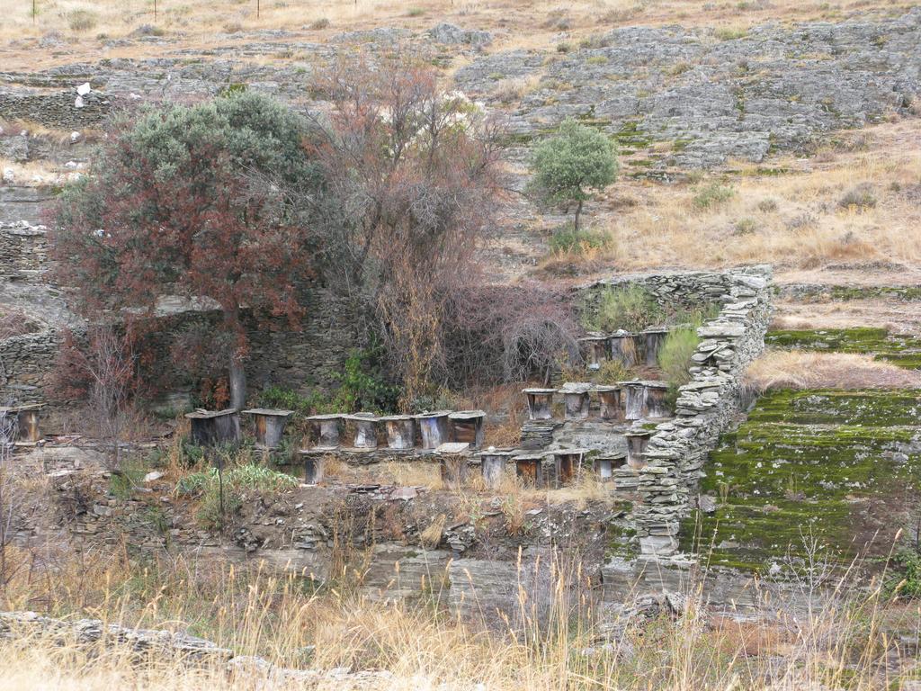 Hosteria Camino Луйего-де-Сомоса Экстерьер фото