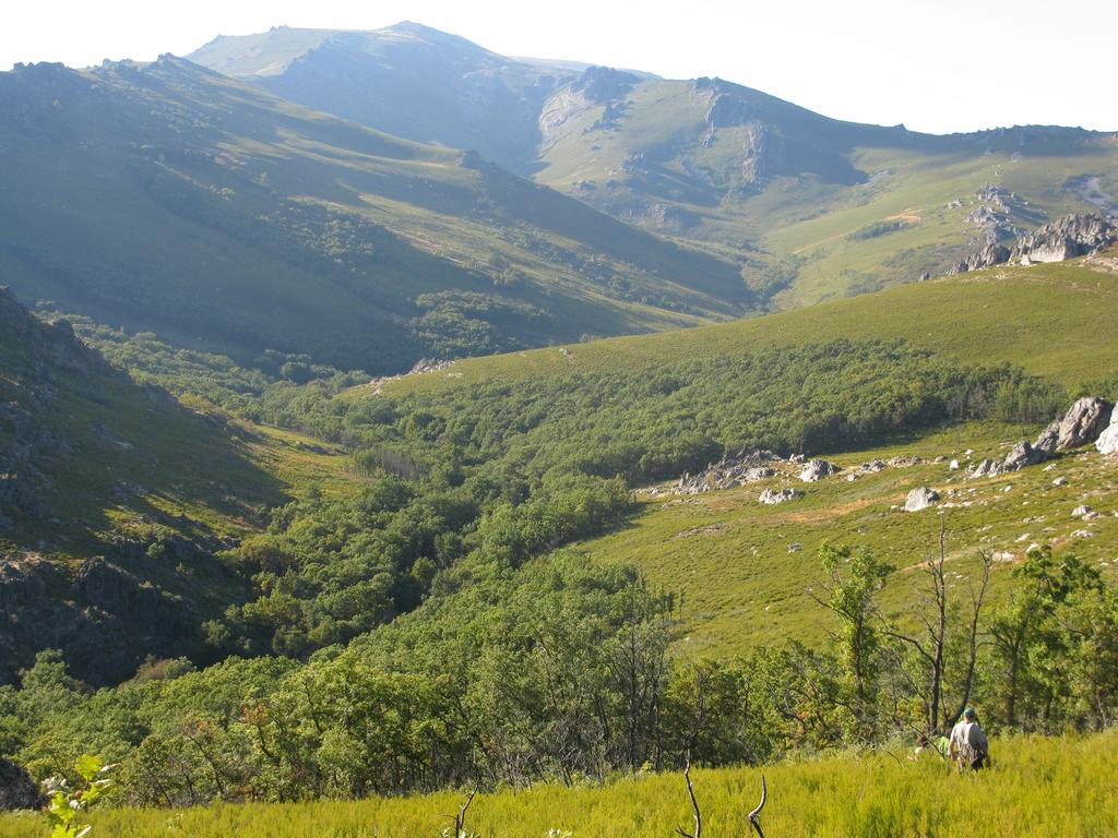 Hosteria Camino Луйего-де-Сомоса Экстерьер фото